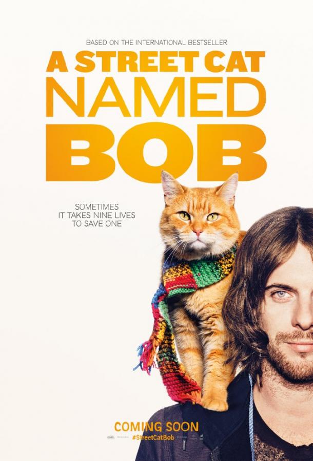 Фильм Уличный кот по кличке Боб (2016) смотреть онлайн